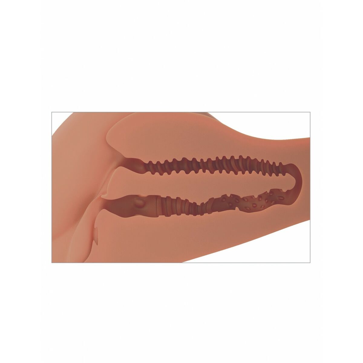 V6HDA00904BAC0671D7614726A60322978CR5111720P7